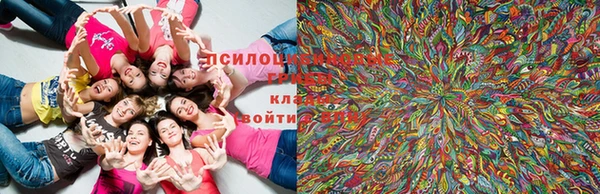 круглые Магас