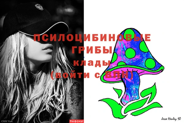 круглые Магас
