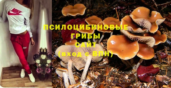 хмурый Майский